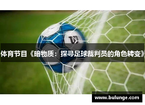 体育节目《暗物质：探寻足球裁判员的角色转变》